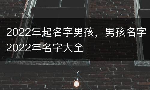 2022年起名字男孩，男孩名字2022年名字大全