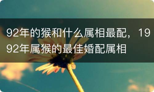 92年的猴和什么属相最配，1992年属猴的最佳婚配属相