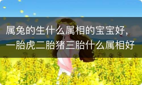 属兔的生什么属相的宝宝好，一胎虎二胎猪三胎什么属相好，虎和兔