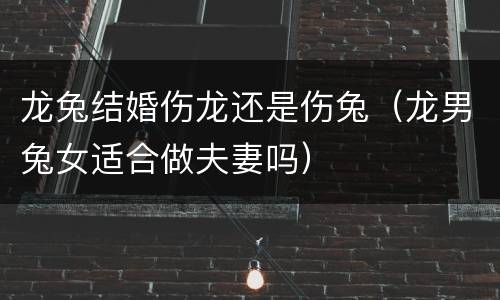 龙兔结婚伤龙还是伤兔（龙男兔女适合做夫妻吗）