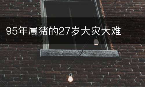95年属猪的27岁大灾大难