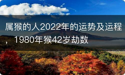 属猴的人2022年的运势及运程，1980年猴42岁劫数