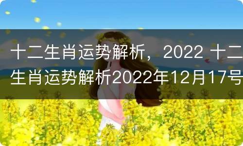 十二生肖运势解析，2022 十二生肖运势解析2022年12月17号