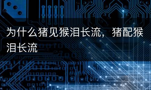 为什么猪见猴泪长流，猪配猴泪长流
