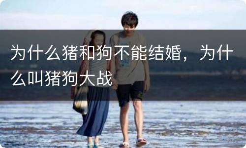 为什么猪和狗不能结婚，为什么叫猪狗大战