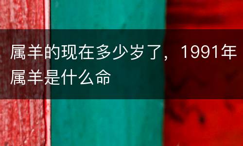 属羊的现在多少岁了，1991年属羊是什么命