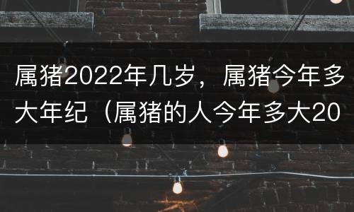 属猪2022年几岁，属猪今年多大年纪（属猪的人今年多大2021）