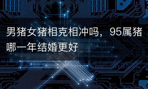 男猪女猪相克相冲吗，95属猪哪一年结婚更好
