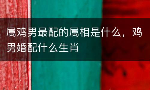 属鸡男最配的属相是什么，鸡男婚配什么生肖