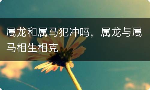 属龙和属马犯冲吗，属龙与属马相生相克
