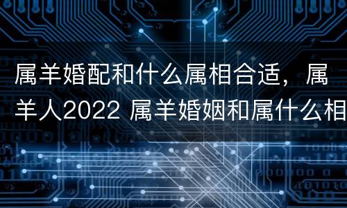 属羊婚配和什么属相合适，属羊人2022 属羊婚姻和属什么相配