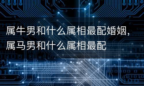 属牛男和什么属相最配婚姻，属马男和什么属相最配