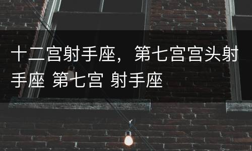 十二宫射手座，第七宫宫头射手座 第七宫 射手座