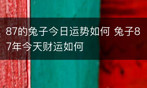 87的兔子今日运势如何 兔子87年今天财运如何