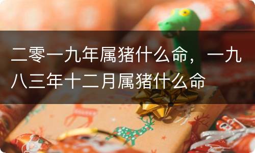 二零一九年属猪什么命，一九八三年十二月属猪什么命