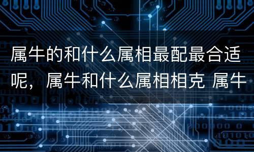 属牛的和什么属相最配最合适呢，属牛和什么属相相克 属牛忌讳什