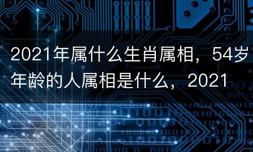 2021年属什么生肖属相，54岁年龄的人属相是什么，2021