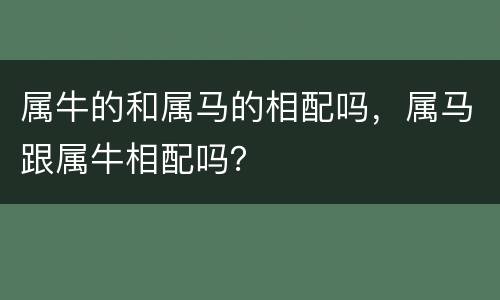 属牛的和属马的相配吗，属马跟属牛相配吗？