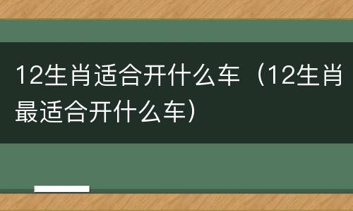 12生肖适合开什么车（12生肖最适合开什么车）