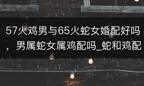 57火鸡男与65火蛇女婚配好吗，男属蛇女属鸡配吗_蛇和鸡配吗