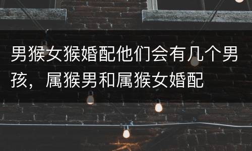 男猴女猴婚配他们会有几个男孩，属猴男和属猴女婚配