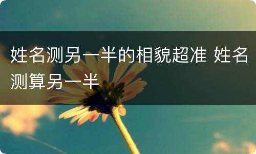 姓名测另一半的相貌超准 姓名测算另一半