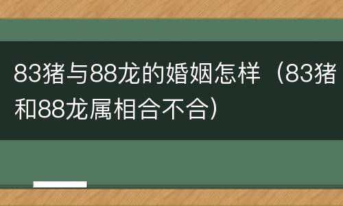 83猪与88龙的婚姻怎样（83猪和88龙属相合不合）