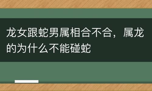龙女跟蛇男属相合不合，属龙的为什么不能碰蛇