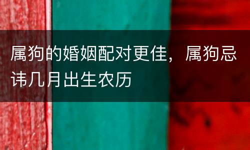 属狗的婚姻配对更佳，属狗忌讳几月出生农历