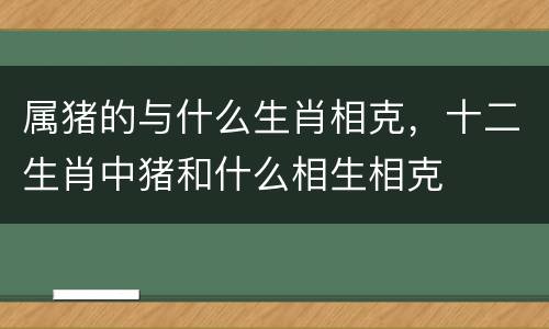 属猪的与什么生肖相克，十二生肖中猪和什么相生相克