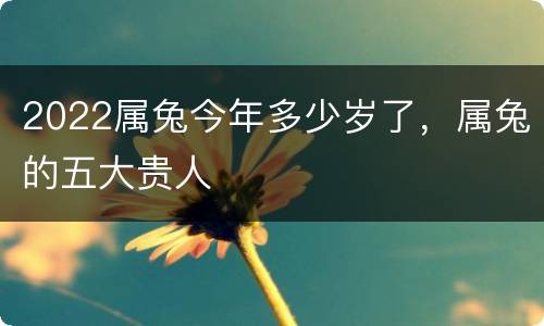 2022属兔今年多少岁了，属兔的五大贵人