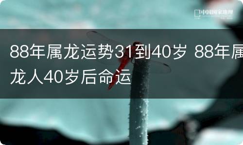 88年属龙运势31到40岁 88年属龙人40岁后命运