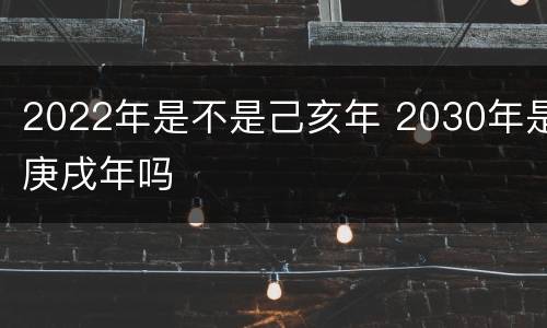 2022年是不是己亥年 2030年是庚戌年吗