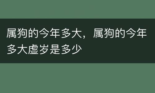 属狗的今年多大，属狗的今年多大虚岁是多少