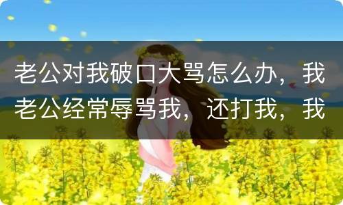 老公对我破口大骂怎么办，我老公经常辱骂我，还打我，我该怎么办呢