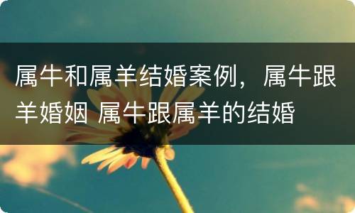 属牛和属羊结婚案例，属牛跟羊婚姻 属牛跟属羊的结婚