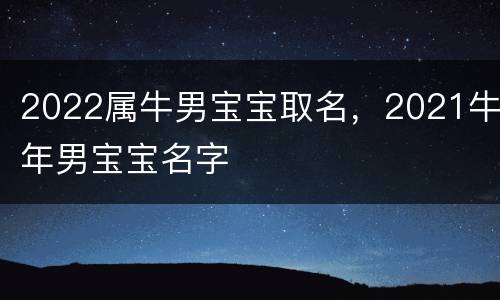 2022属牛男宝宝取名，2021牛年男宝宝名字