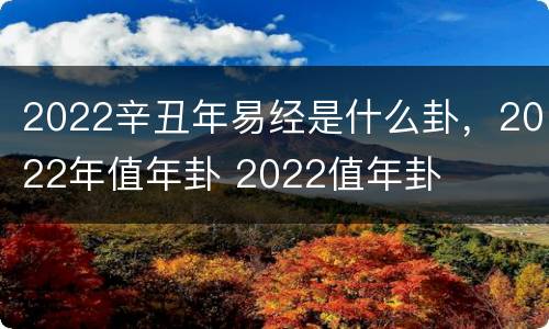 2022辛丑年易经是什么卦，2022年值年卦 2022值年卦