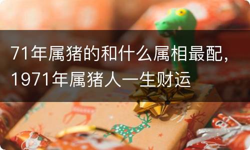 71年属猪的和什么属相最配，1971年属猪人一生财运