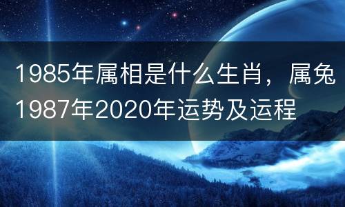 1985年属相是什么生肖，属兔1987年2020年运势及运程