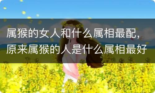属猴的女人和什么属相最配，原来属猴的人是什么属相最好，男属猴