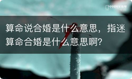 算命说合婚是什么意思，指迷算命合婚是什么意思啊？