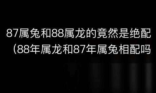 87属兔和88属龙的竟然是绝配（88年属龙和87年属兔相配吗）
