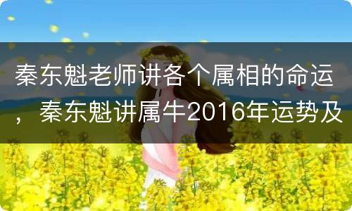 秦东魁老师讲各个属相的命运，秦东魁讲属牛2016年运势及运程