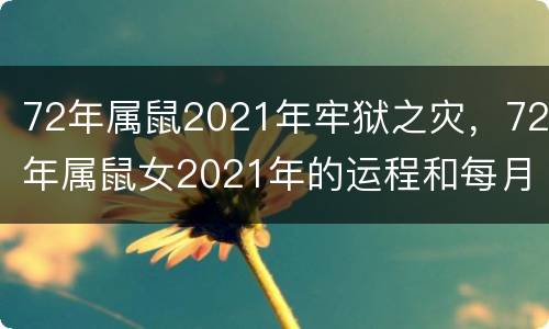 72年属鼠2021年牢狱之灾，72年属鼠女2021年的运程和每月运势