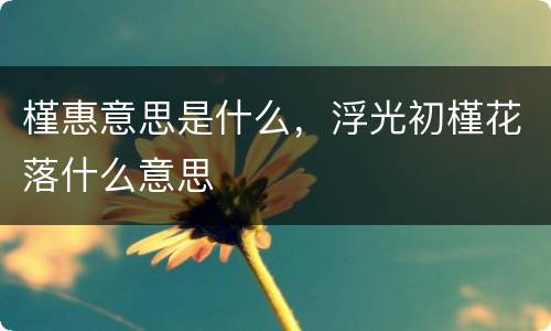 槿惠意思是什么，浮光初槿花落什么意思