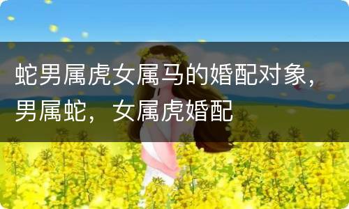 蛇男属虎女属马的婚配对象，男属蛇，女属虎婚配