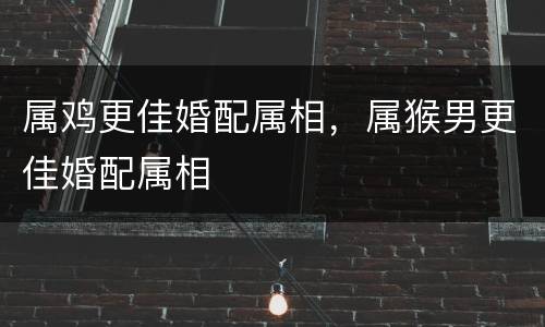 属鸡更佳婚配属相，属猴男更佳婚配属相
