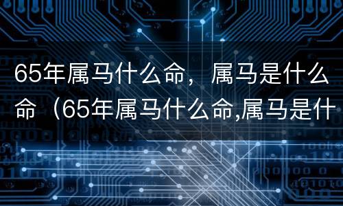 65年属马什么命，属马是什么命（65年属马什么命,属马是什么命呢）
