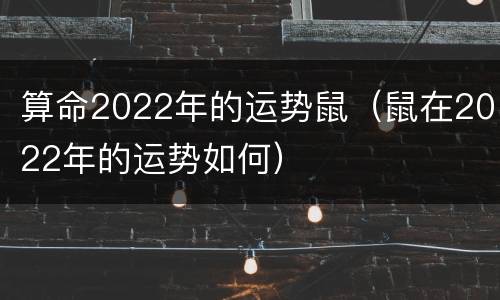 算命2022年的运势鼠（鼠在2022年的运势如何）